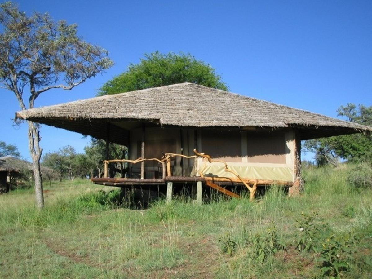 Mbalageti Serengeti Rom bilde