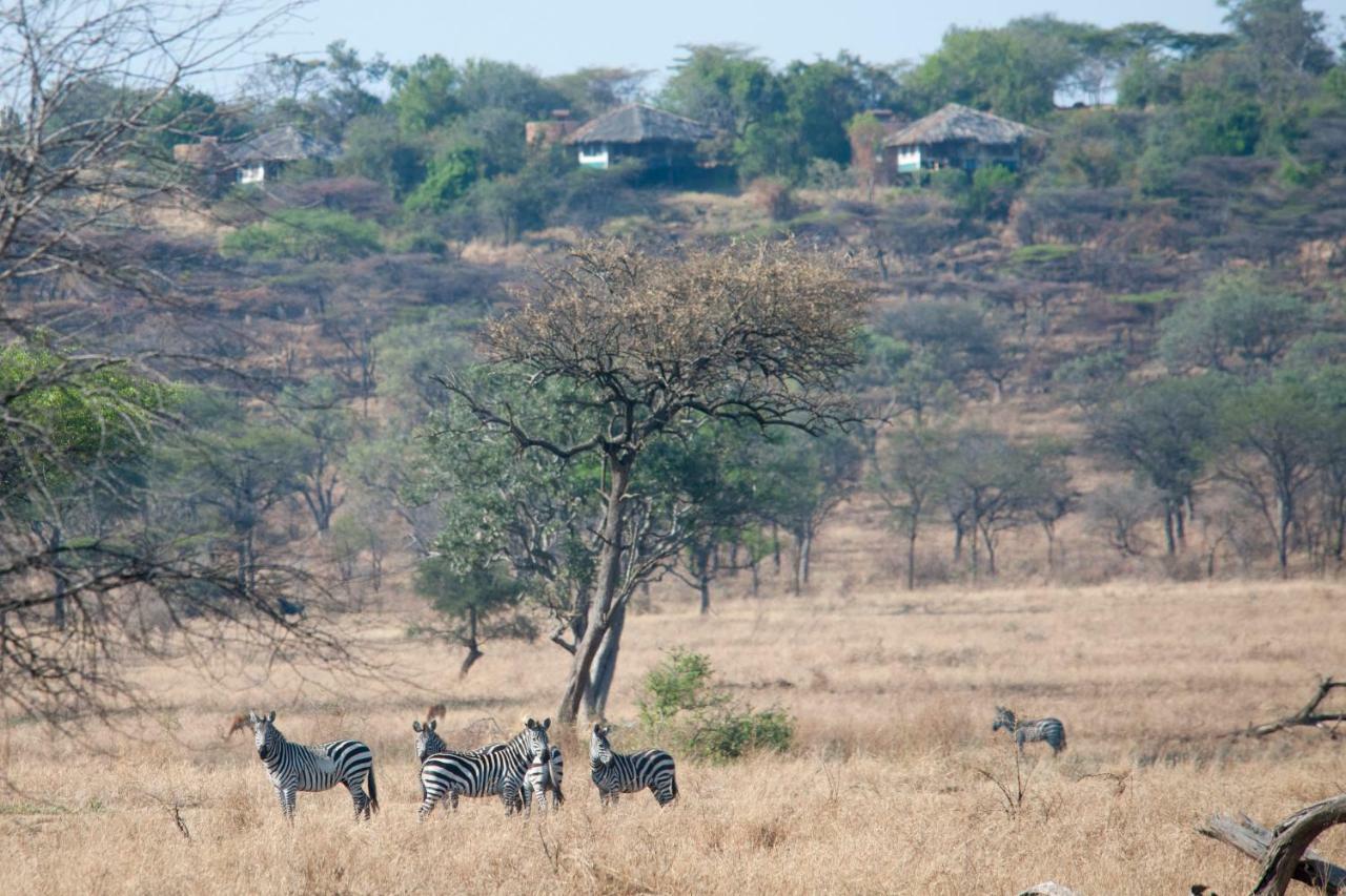 Mbalageti Serengeti Eksteriør bilde